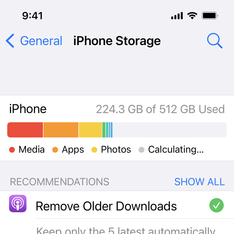 A partial screenshot of iPhone Storage Settings, which uses a single bar mark containing several segments of different colors to show the relative space taken by items such as media, apps, and photos. The bar includes a narrow strip of empty space between each pair of segments.