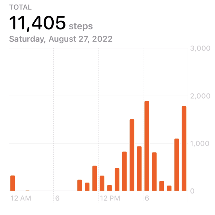 A partial screenshot of the Health app's Steps chart, which shows the total number of steps for a single day.