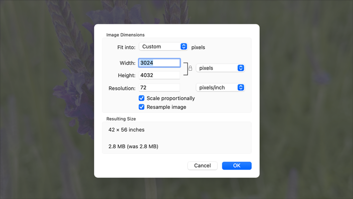 Partial screenshot cropped to show the Preview app's Adjust Size sheet centered on top of the dimmed image of purple flowers.