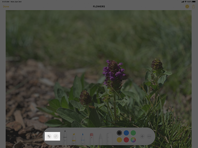 An image of an iPad screen that displays a photo of some flowers and the tool picker at the bottom edge of the screen. The image is highlighted to show the standard undo and redo buttons in the left end of the tool picker.