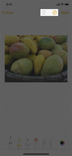 An image of an iPhone screen showing a note that contains a photo of some mangoes and the tool picker at the bottom of the screen, below the photo. The screen is highlighted to show the undo and redo buttons in the navigation bar.
