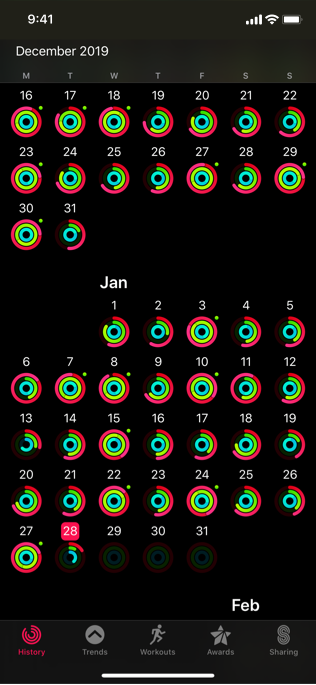 Screenshot of the Activity app's History screen, showing daily activity rings for January and parts of December and February.