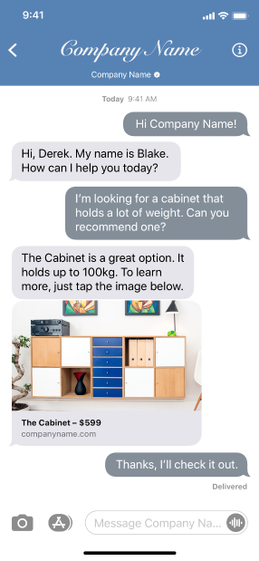 A screenshot of a Messages for Business conversation that includes a bubble that provides a rich link. The bubble contains an image of a cabinet, the cabinet's price, and the company's web address. The image functions as a link that opens the website to a page about the cabinet.