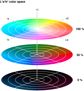 The L*a*b* color space