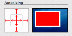 Autosizing spring and strus