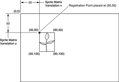 Default registration point in a sprite track’s local coordinate system